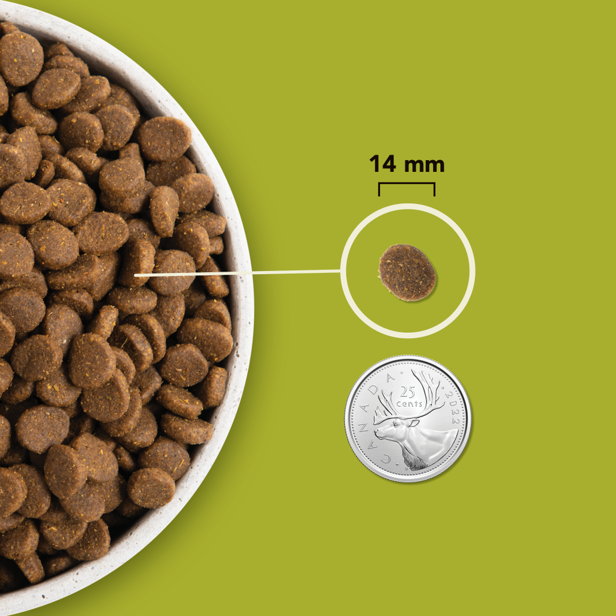 Highest Protein Grasslands Dry Dog Food ACANA Canada